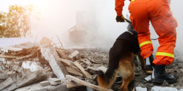 Banco Mundial dice cuánto costaría reconstrucción de Siria y Turquía luego del terremoto