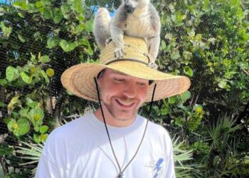 MrBeast: el vertiginoso ascenso que le ha llevado a la portada de la revista Time