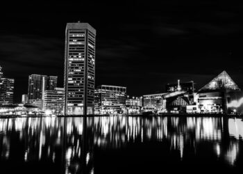 Colapso del puente en Baltimore: Advertencia sobre impacto económico impredecible