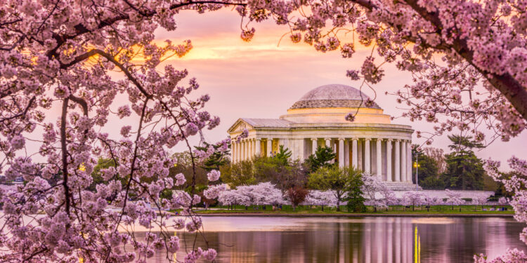 Las 10 principales ciudades para llevar una vida sostenible