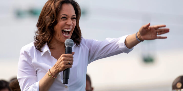 Demócratas cierran filas en torno a Kamala Harris y recaudan $50 millones tras el retiro de Biden