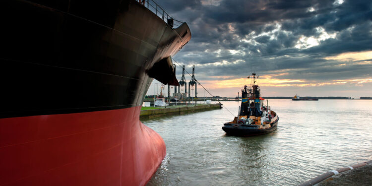 100 días para una nueva huelga portuaria en EE.UU.: la automatización, el punto clave