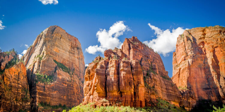 Trágico accidente en parque nacional: Muere CEO de software de Utah