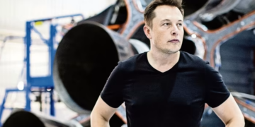 DOGE explora el desarrollo de una aplicación móvil para simplificar la declaración de impuestos