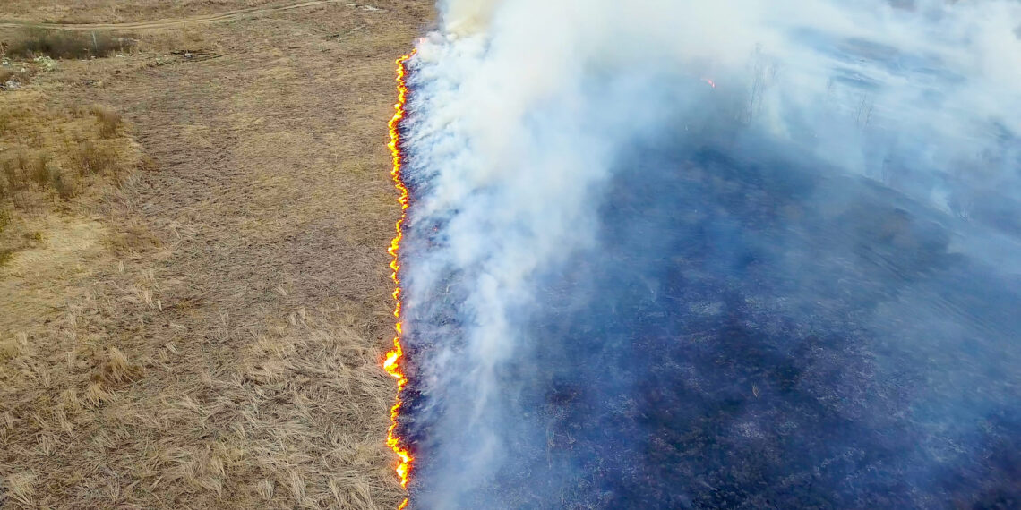 Incendios forestales de Los Ángeles: Los más costosos en la historia de EE.UU.