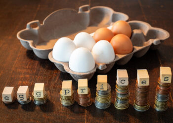 ¿Por qué los huevos están más caros que nunca? La crisis que afecta a los hogares estadounidenses