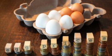 ¿Por qué los huevos están más caros que nunca? La crisis que afecta a los hogares estadounidenses