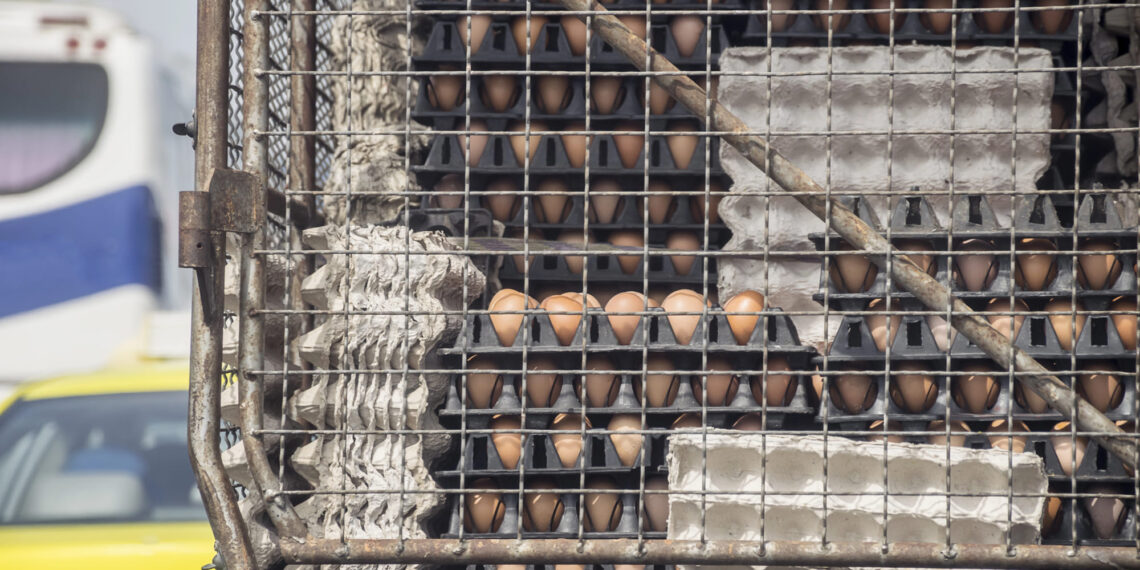 Autoridades frustran masivo contrabando de huevos desde México hacia Estados Unidos