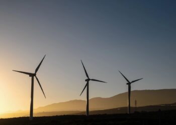 Trump cumple promesa de campaña y detiene en seco la energía eólica en EE. UU