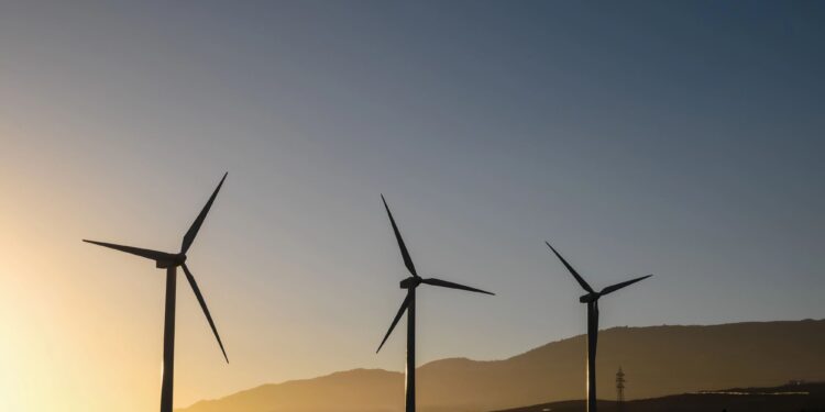 Trump cumple promesa de campaña y detiene en seco la energía eólica en EE. UU