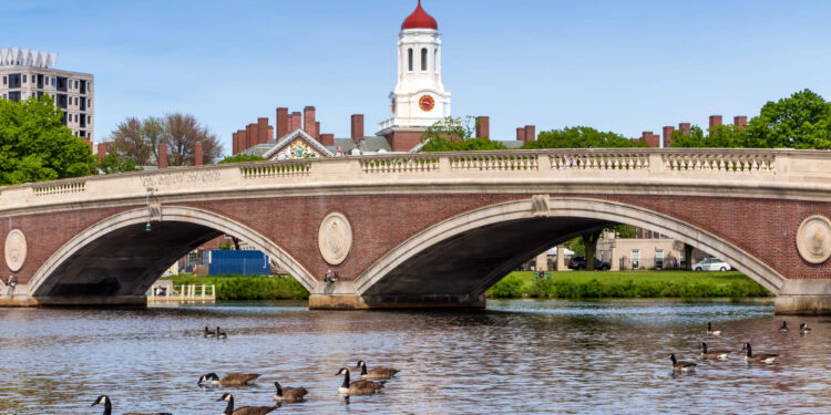 Harvard ofrecerá matrícula gratuita a familias que cumplan con un sencillo requisito