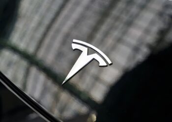 Elon Musk paga caro su incursión en la política: Ingresos de Tesla cayeron 20% durante el primer trimestre