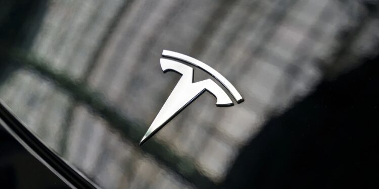Elon Musk paga caro su incursión en la política: Ingresos de Tesla cayeron 20% durante el primer trimestre