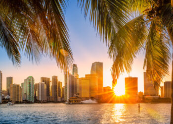 Una revolución femenina sacude Miami: La Cámara de Comercio que une a cientos de emprendedoras latinas