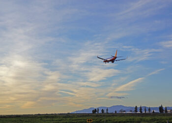 Southwest se desploma tras decepcionar con sus resultados