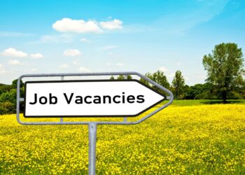 El mercado laboral de EE. UU. se tambalea: Vacantes caen a mínimos y crece el temor de un estancamiento