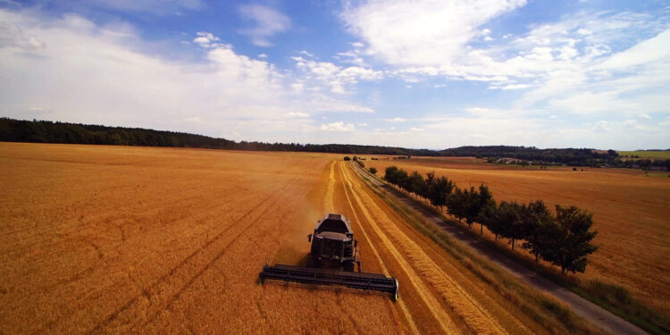 Trump amenaza con cortar negocios con China tras acusarla de sabotear a los productores de soja