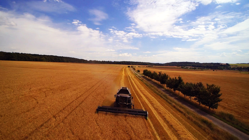 Trump amenaza con cortar negocios con China tras acusarla de sabotear a los productores de soja