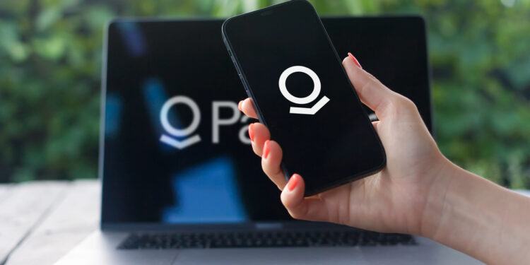 Palantir cerró noviembre con su peor desempeño en dos años