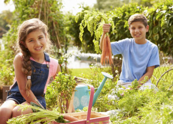 El secreto fiscal que muchos negocios usan con sus hijos