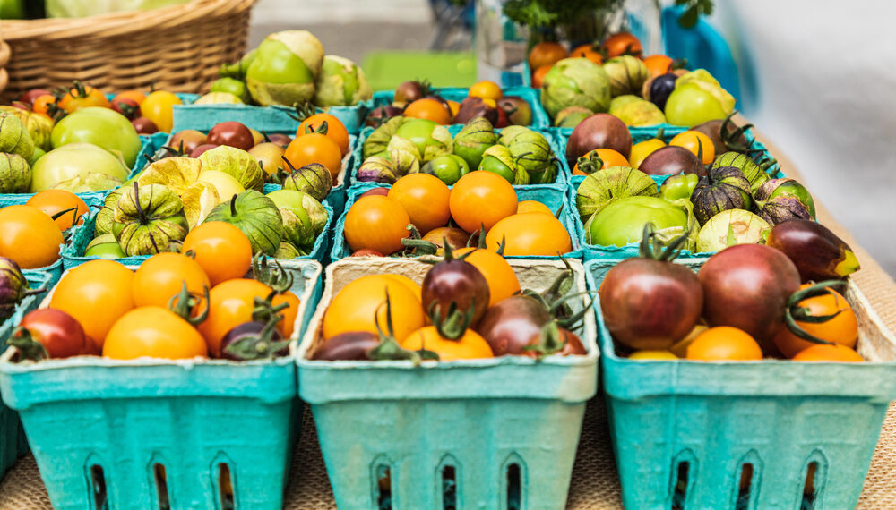 Crisis en fertilizantes golpea a agricultores en EE.UU. y amenaza producción de cultivos