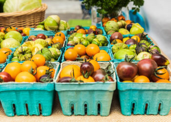 Crisis en fertilizantes golpea a agricultores en EE.UU. y amenaza producción de cultivos