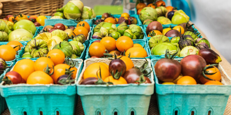 Crisis en fertilizantes golpea a agricultores en EE.UU. y amenaza producción de cultivos