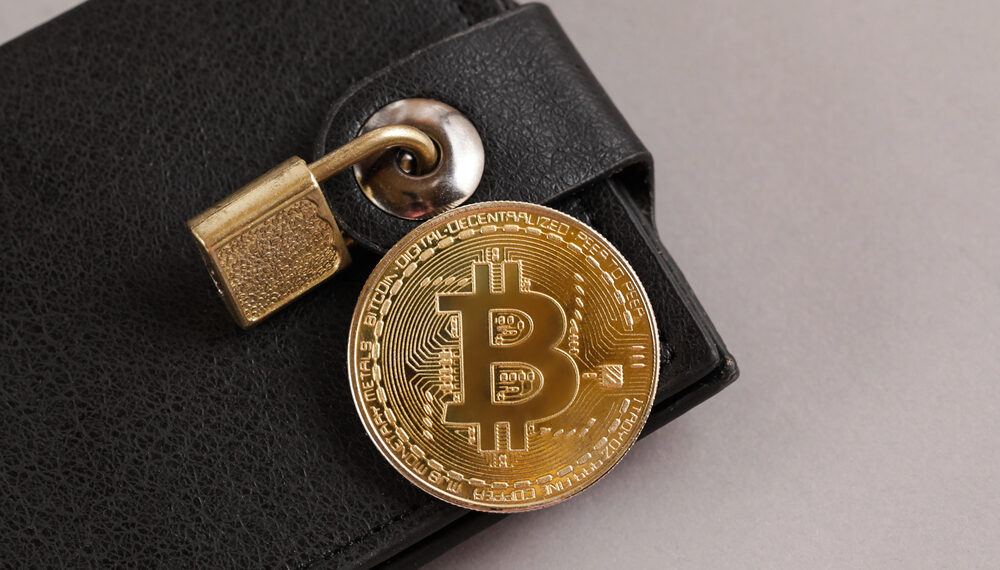 Crypto wallet: La clave que define si realmente controlas tus criptomonedas