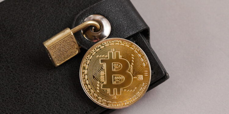 Crypto wallet: La clave que define si realmente controlas tus criptomonedas