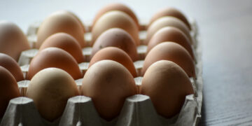 Retiran más de 1.5 millones de docenas de huevos por riesgo de salmonela