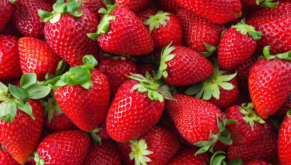 Fresas podrían subir de precio en EE.UU. por investigación a importaciones mexicanas