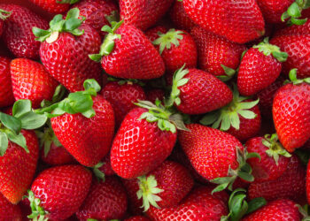 Fresas podrían subir de precio en EE.UU. por investigación a importaciones mexicanas