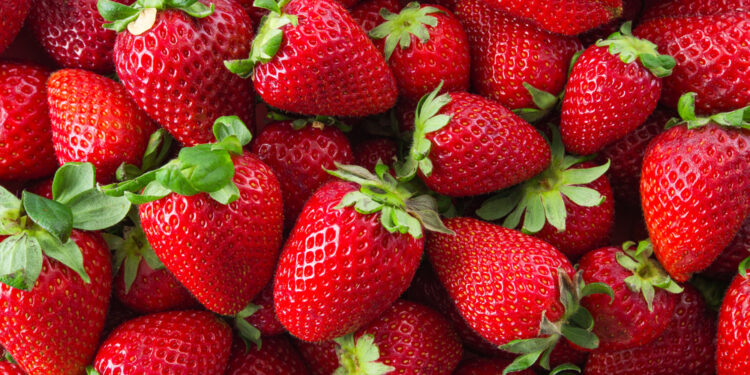 Fresas podrían subir de precio en EE.UU. por investigación a importaciones mexicanas