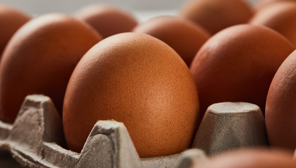 FDA eleva al máximo la alerta por salmonela en huevos de reconocidas marcas