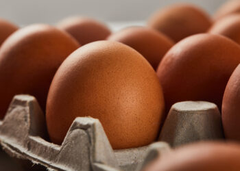 FDA eleva al máximo la alerta por salmonela en huevos de reconocidas marcas