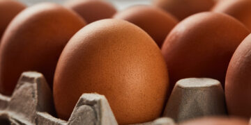FDA eleva al máximo la alerta por salmonela en huevos de reconocidas marcas